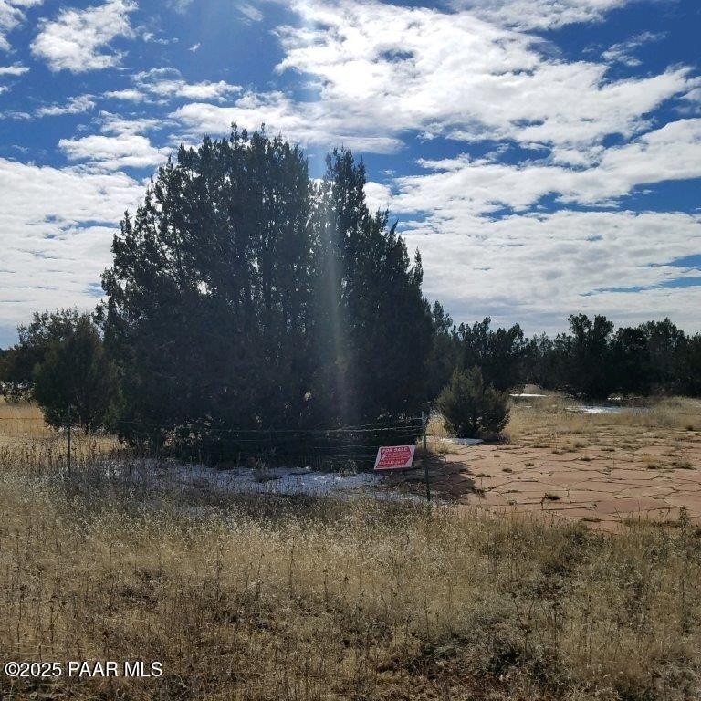 Land Backing National Forest