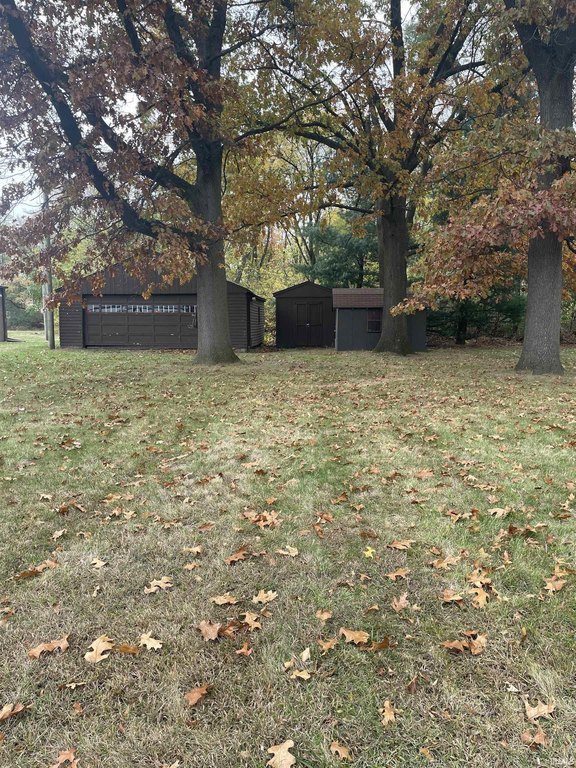 Picture 6