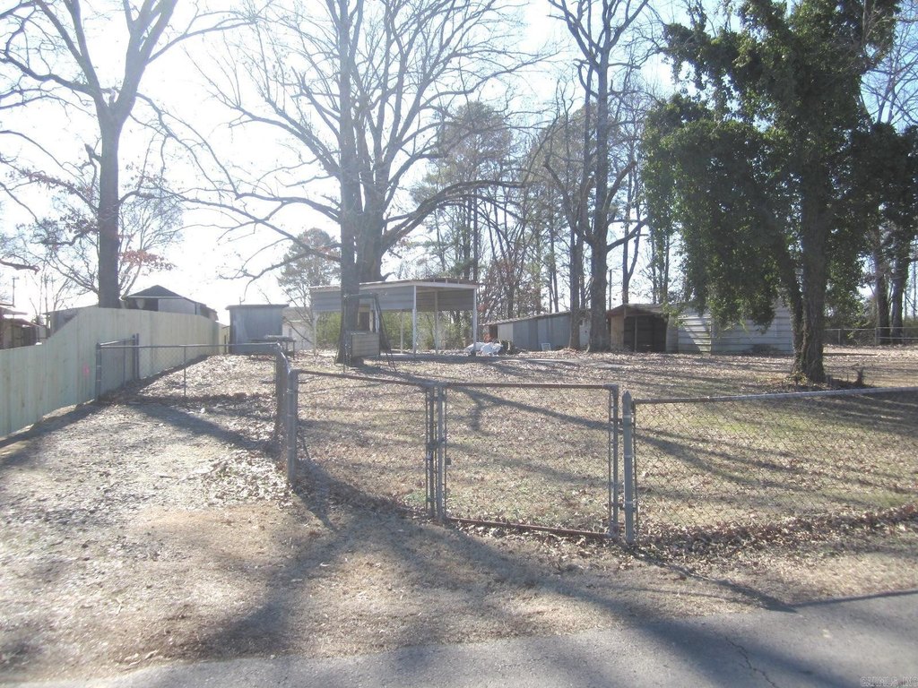 Picture 8