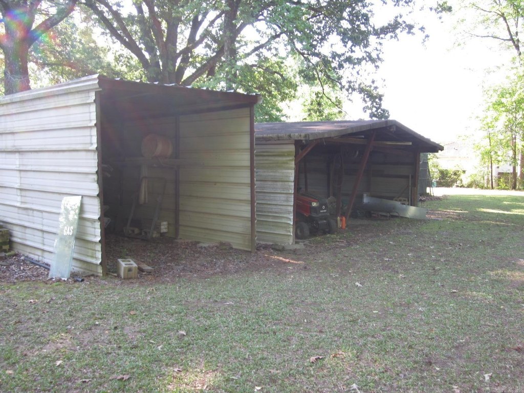 Picture 5
