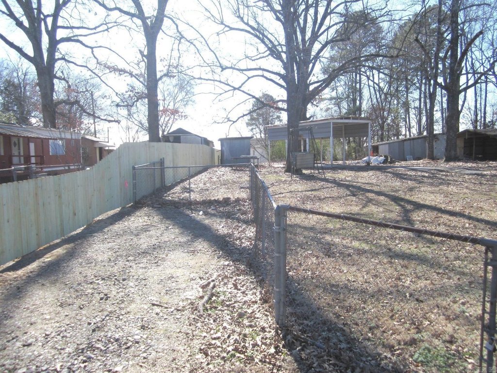Picture 7