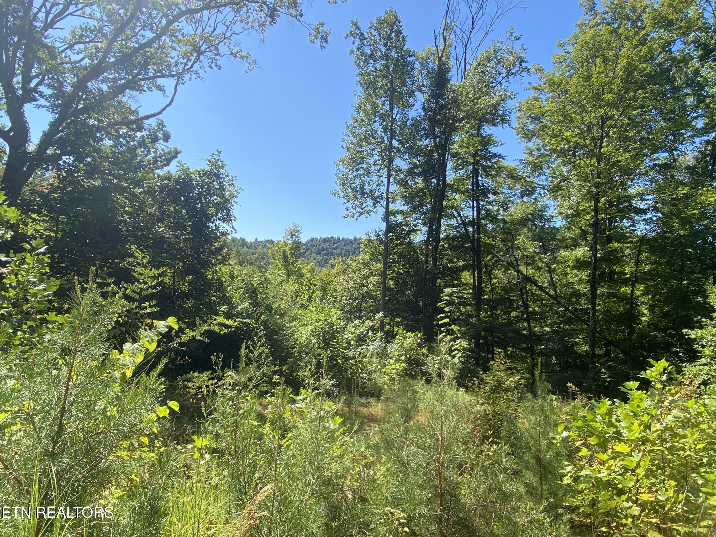 133 Acres in Jamestown, TN