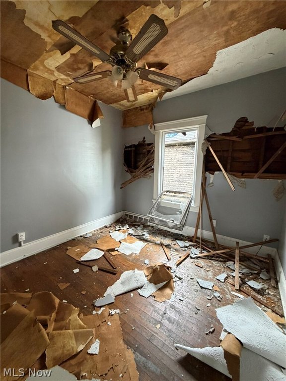 Picture 43