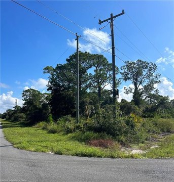 Land, Lake Placid, FL