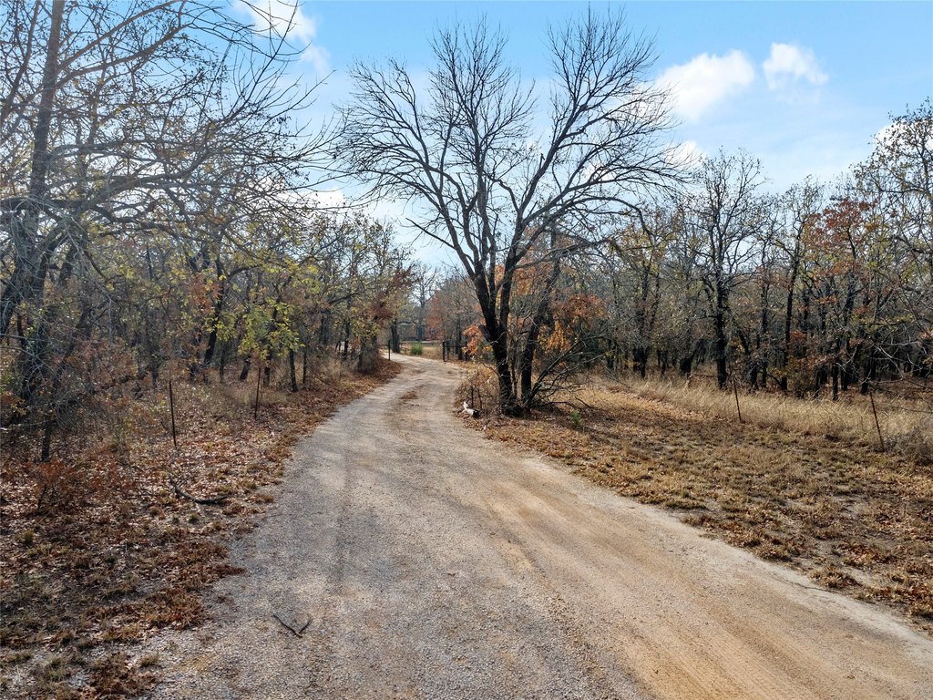 Picture 40