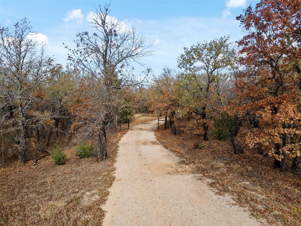 Picture 33