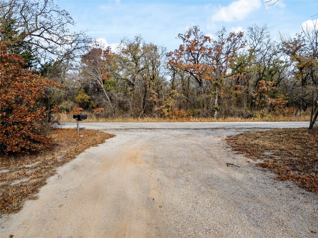 Picture 36