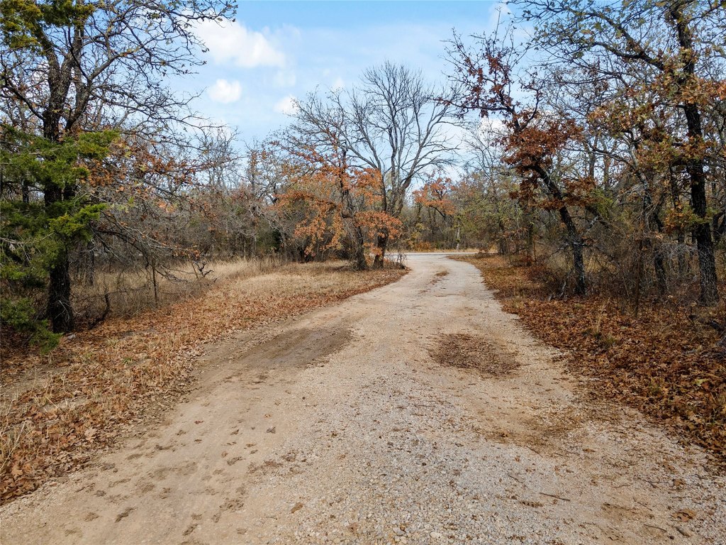 Picture 35
