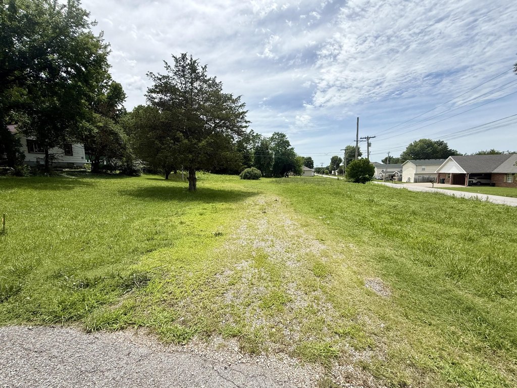 Picture 6