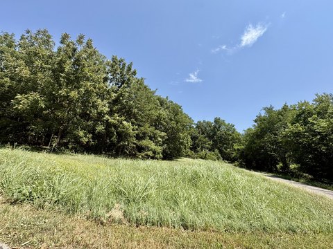 LAND - Greenfield, MO