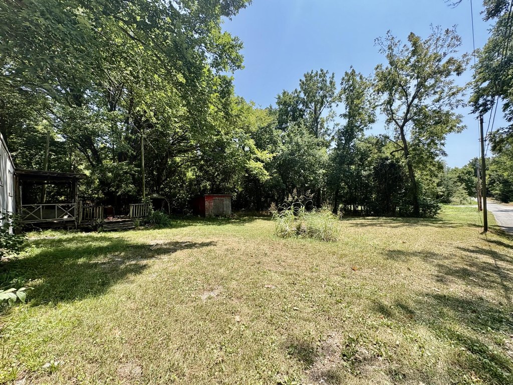 Picture 3
