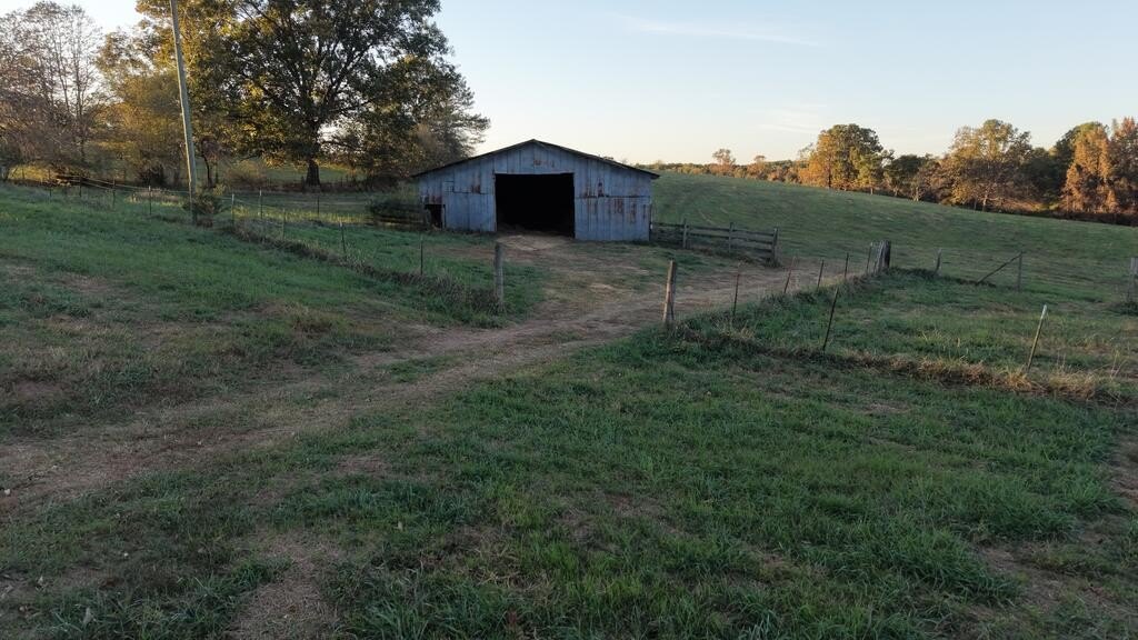 Picture 5