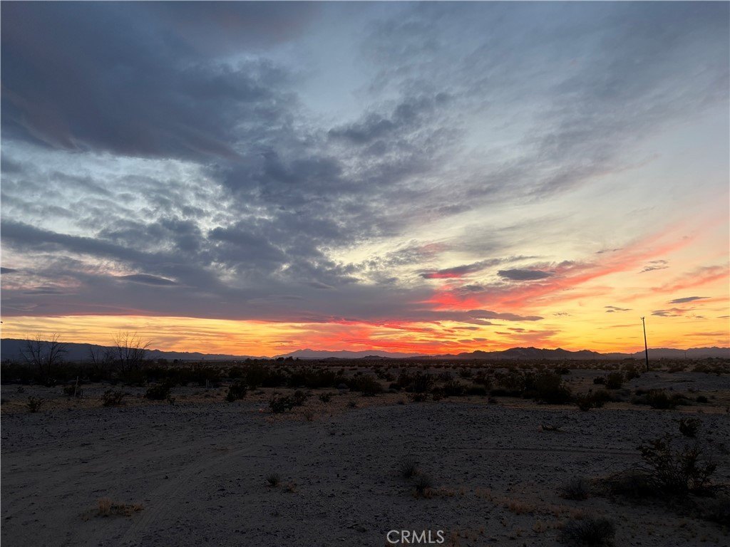 5 Acres in Wonder Valley