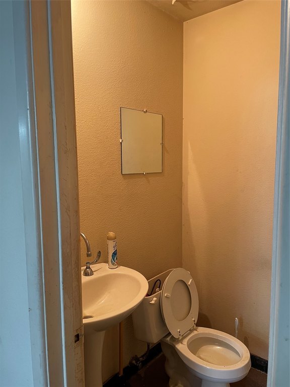 Picture 15