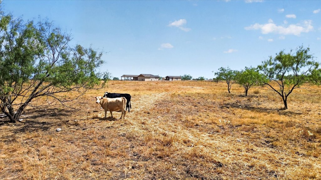Picture 9