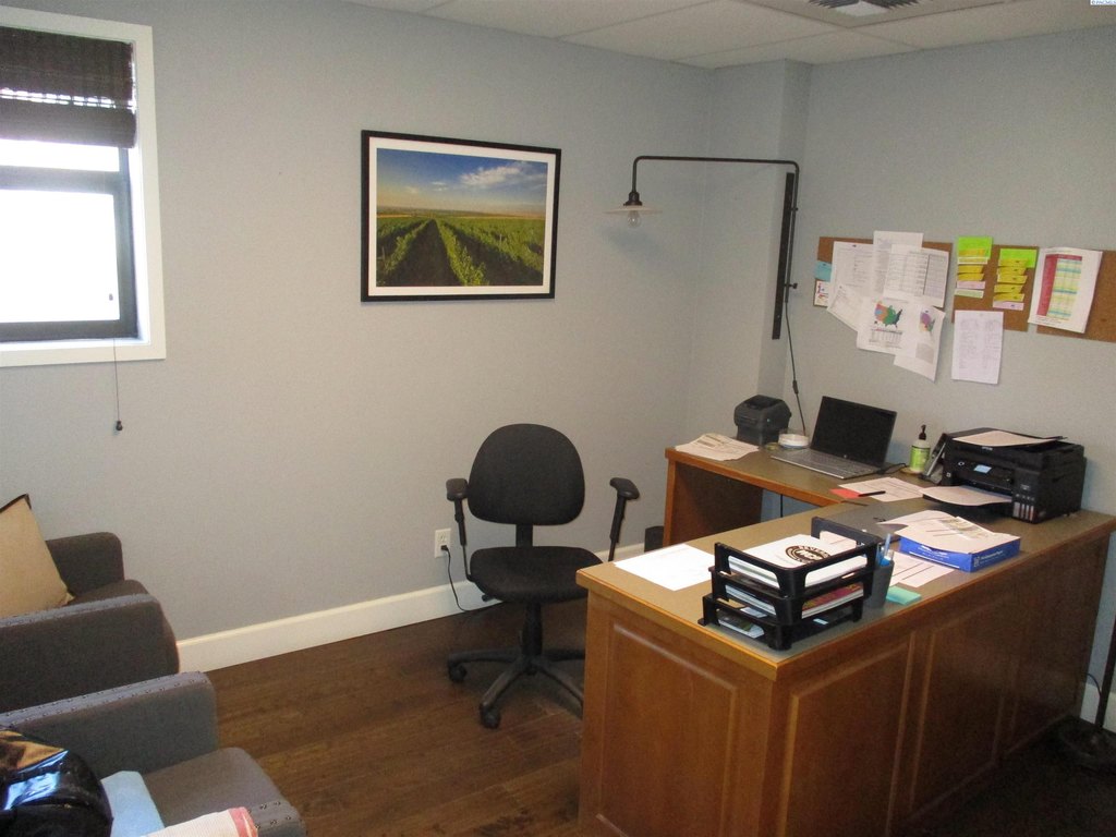 Picture 14