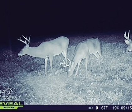 Approved RV Park Development Land