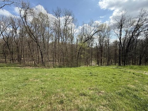 Timber and Creek Front Hunting Land