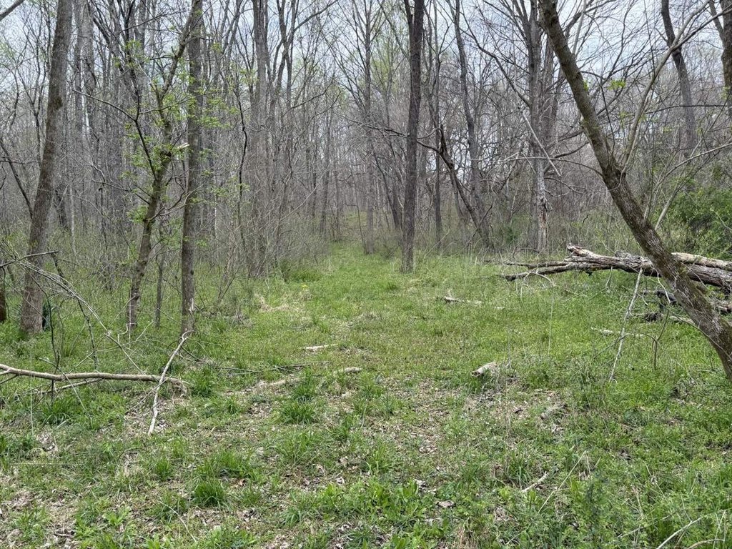 Picture 21