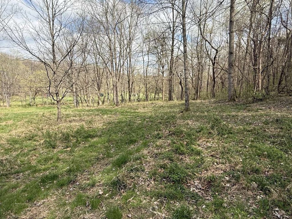 Picture 23