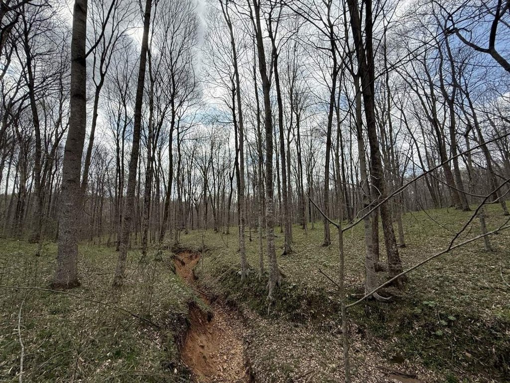 Picture 26