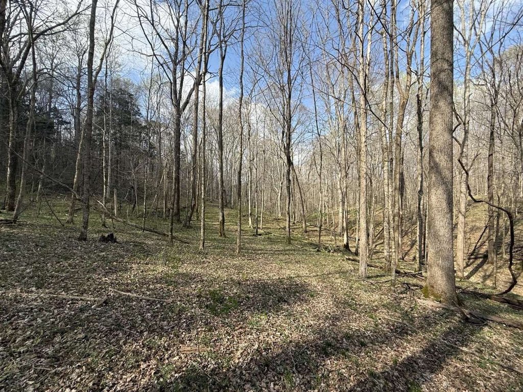Picture 41