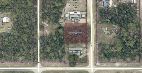 Land, PAISLEY, FL