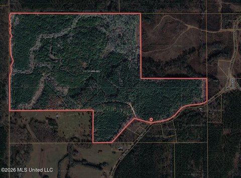 Wooded Land Tract