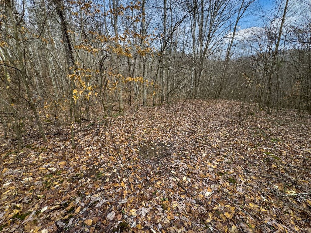 Picture 26