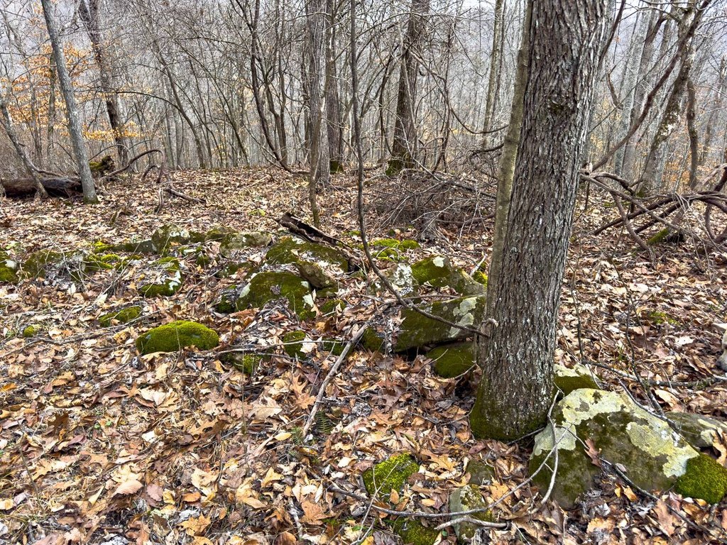 Picture 33