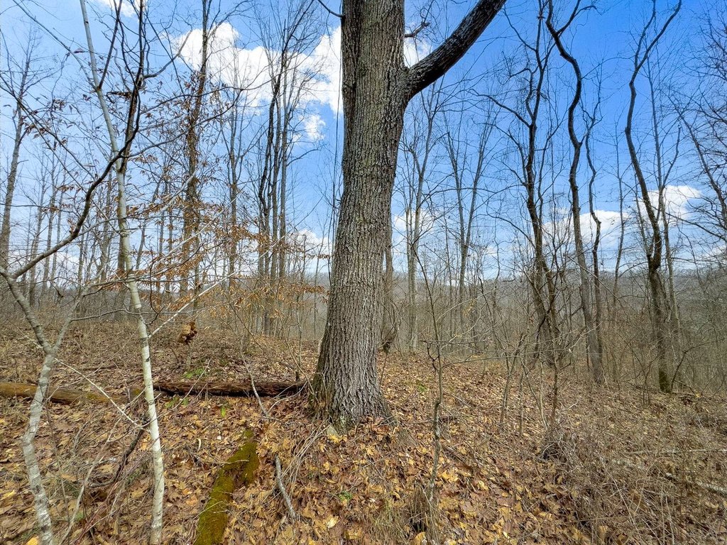Picture 31