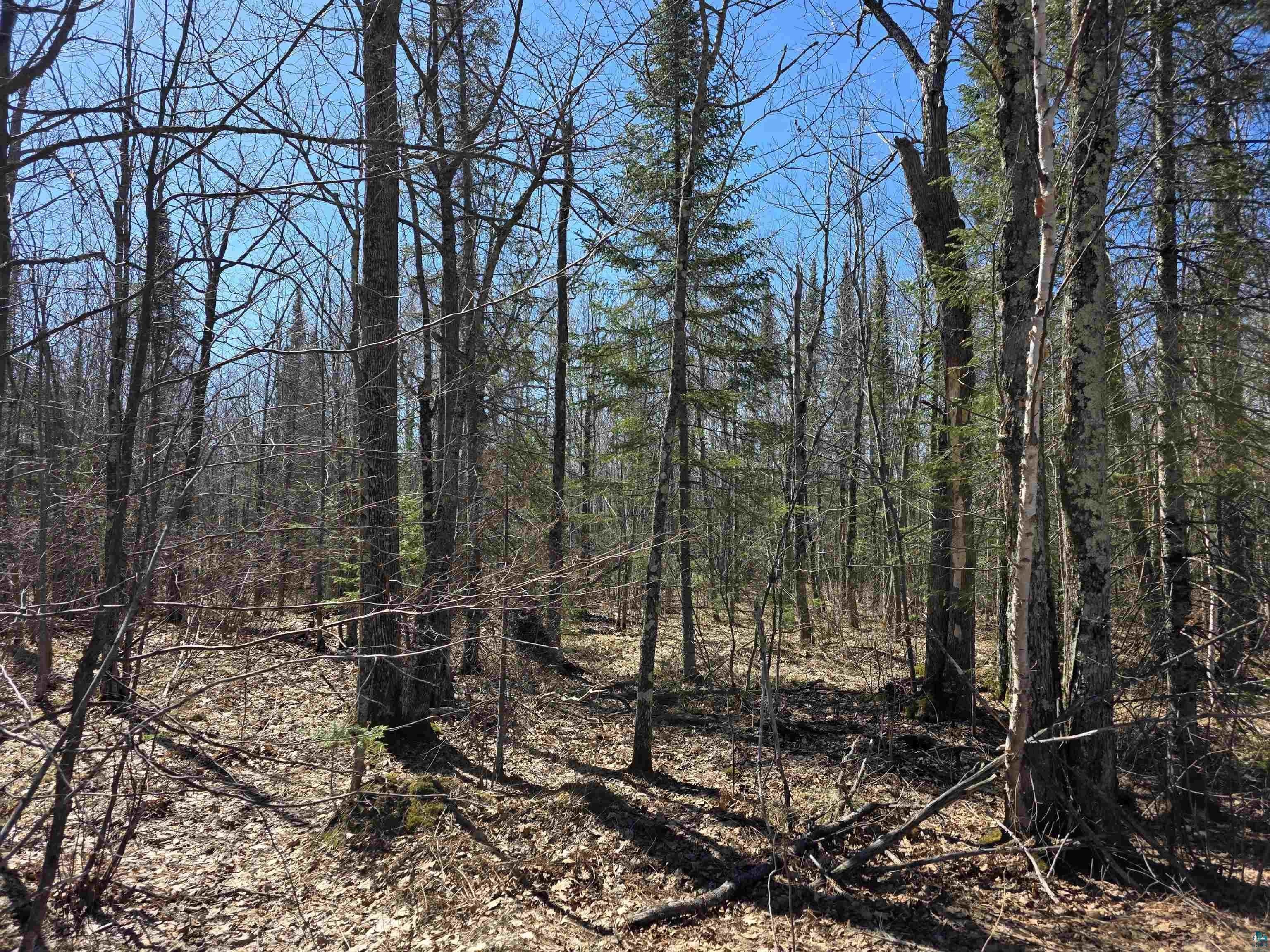 Cloquet Residential Land Opportunity