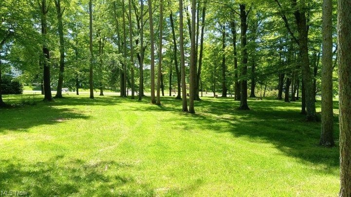 Picture 7