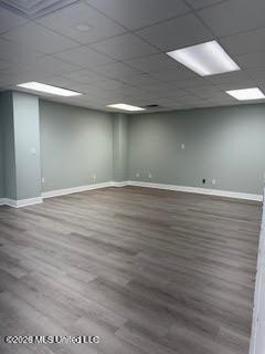 Picture 8