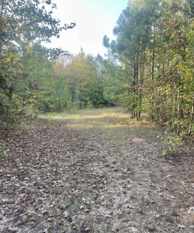 Picture 12