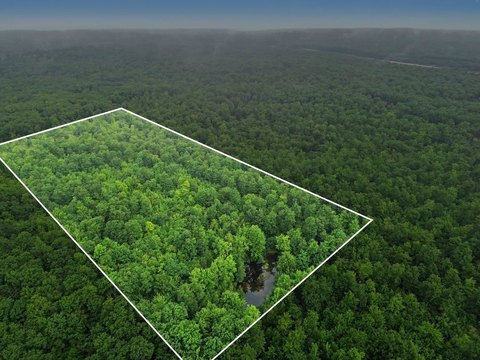 Wooded Hunting Land with Spring-Fed Pond