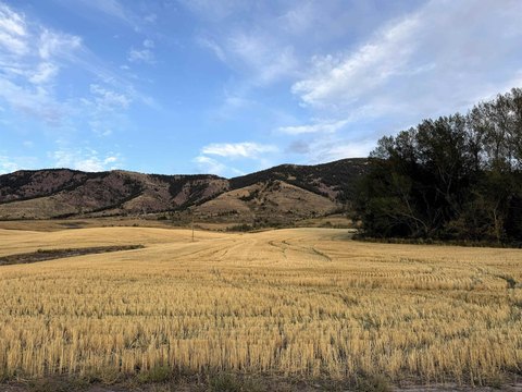 LOTS/LAND, Inkom, ID