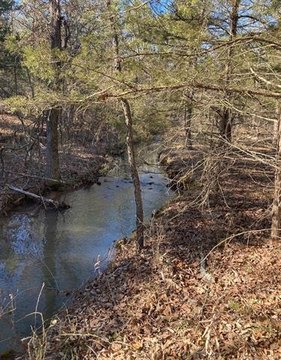 Wooded Land in Antlers Reserve