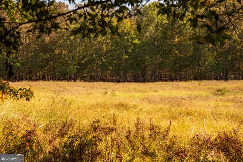 Land, Rome, GA