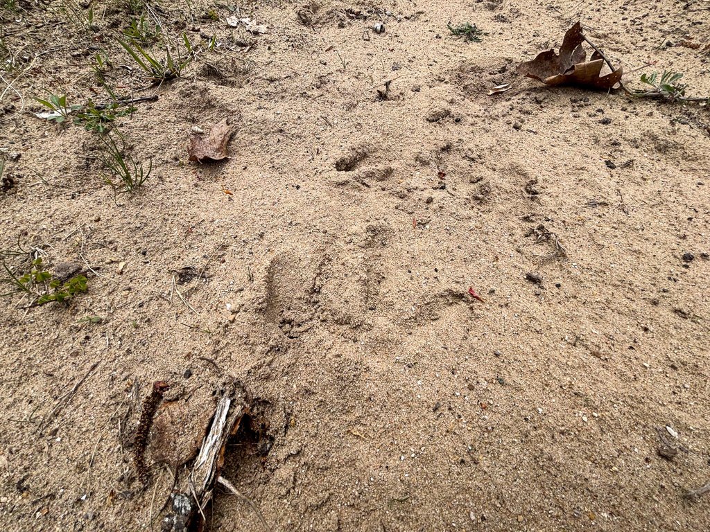 Picture 59