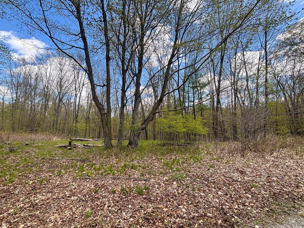 Picture 41