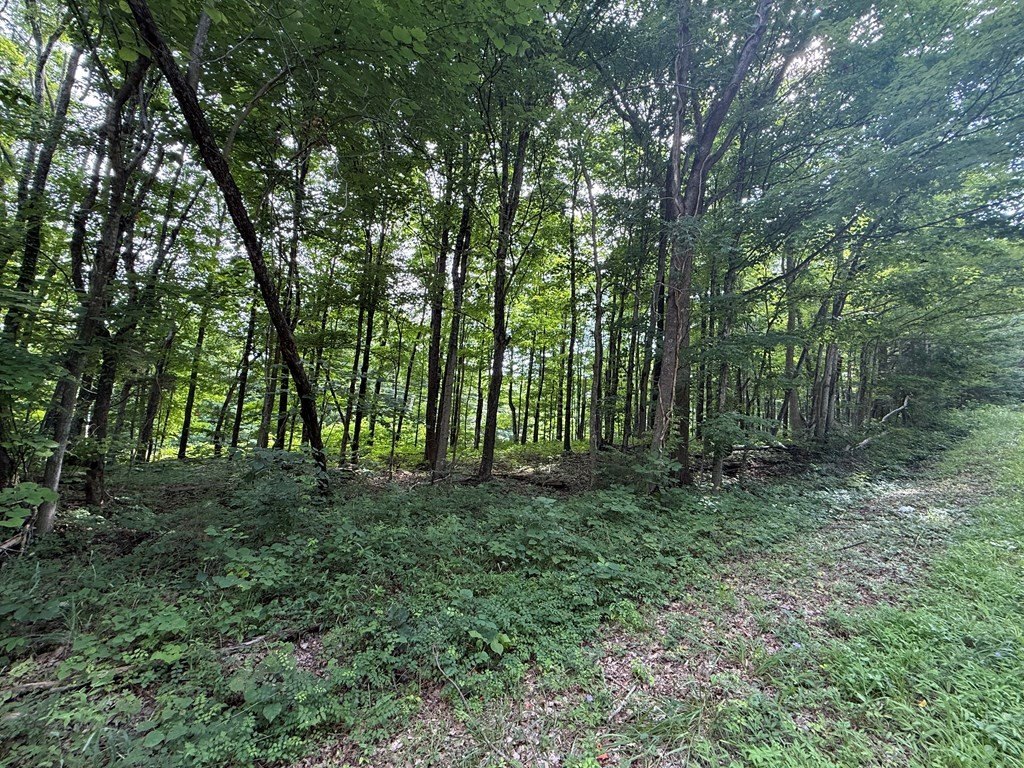 Picture 21