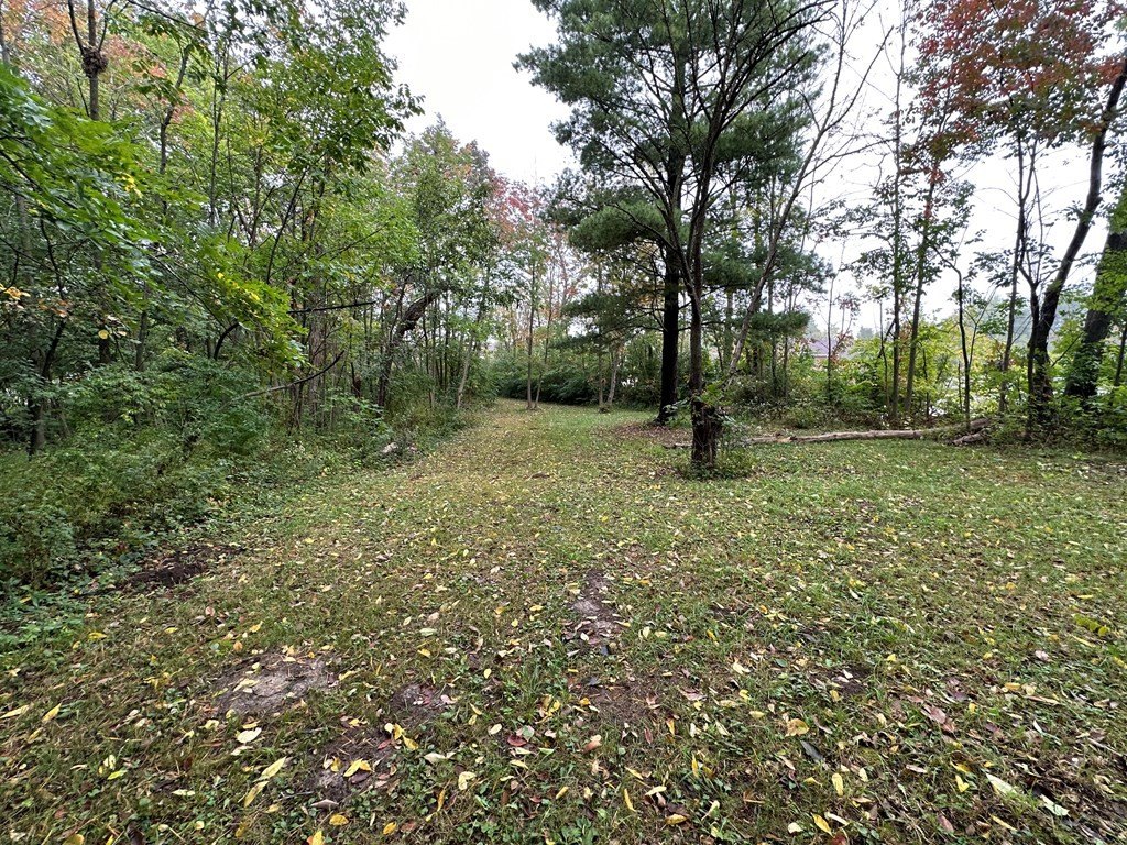 Picture 5