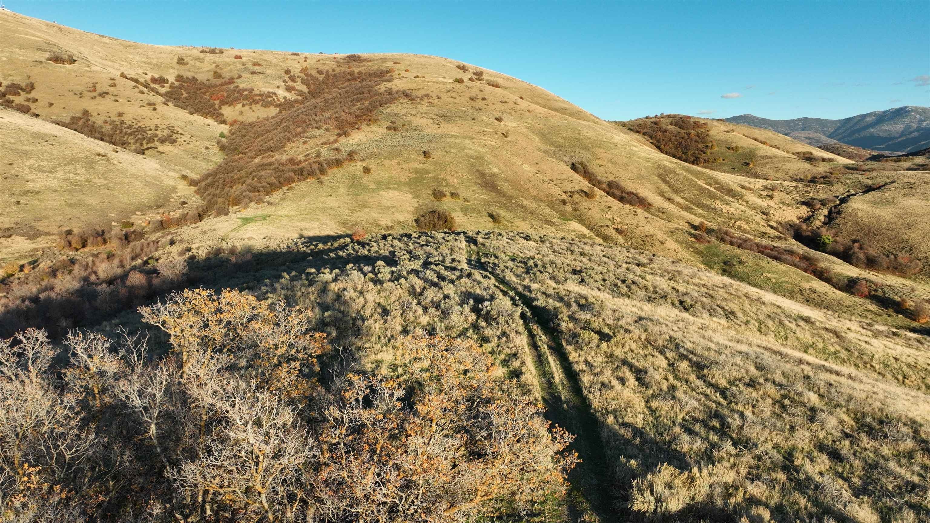 90+ Acre Hunting and Recreation