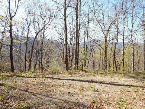 Hayesville Vacant Lot with Views