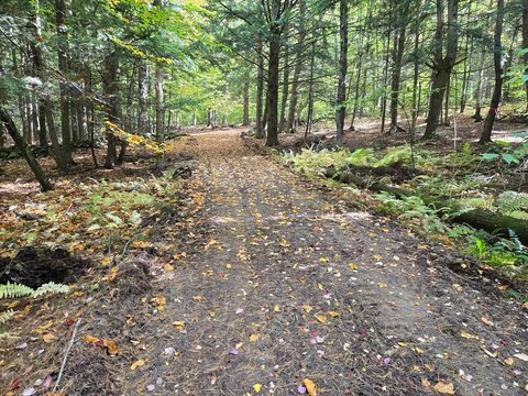 Land, Wolfeboro, NH