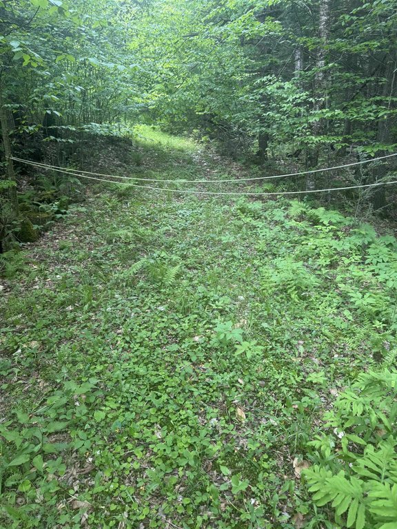 Picture 9