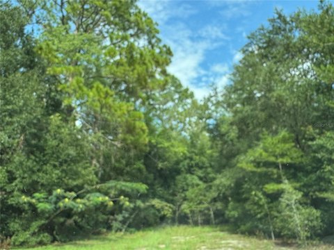 Land, FORT MC COY, FL