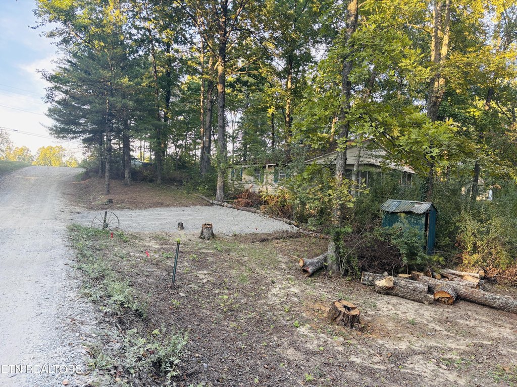 Picture 3
