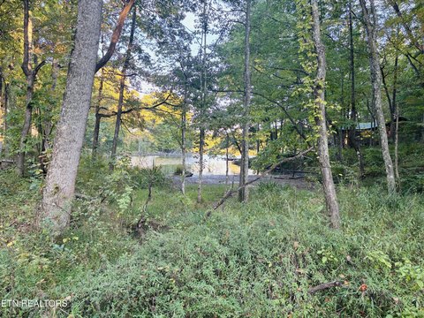 Lots & Acreage, Crossville, TN
